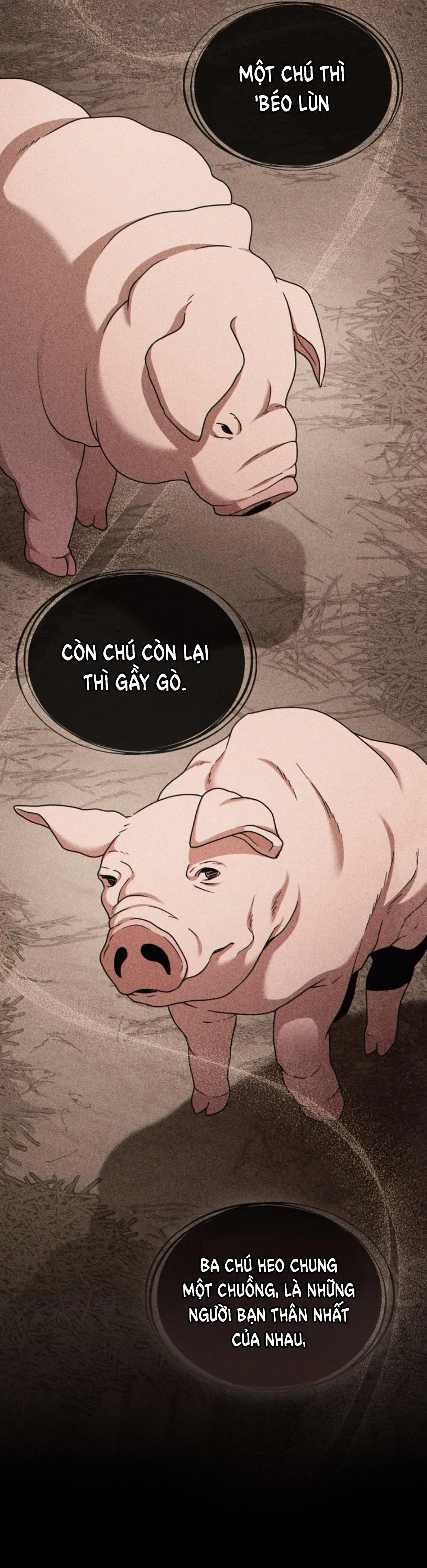 Ta có thể thấy hệ thống của ngươi Chapter 5 Trang 5