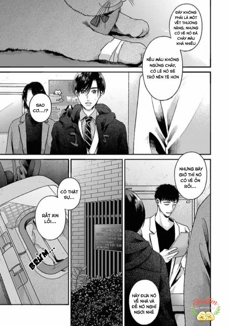 Tạm Biệt Bạn Đời Của Tôi Chapter 1 Trang 28