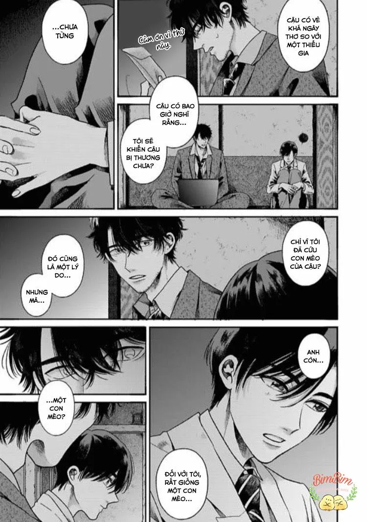 Tạm Biệt Bạn Đời Của Tôi Chapter 1 Trang 38