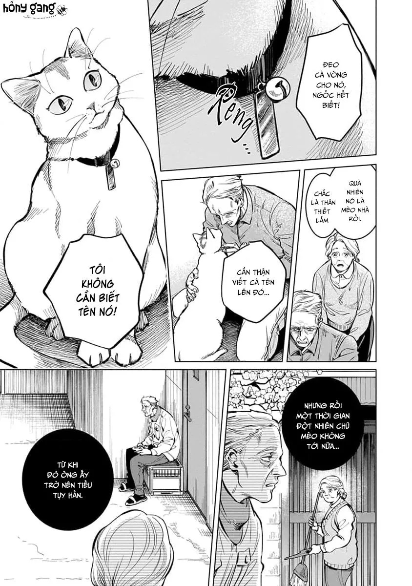 Tạm Biệt, Cây Vĩ Cầm Vô Danh Chapter 6 Trang 14