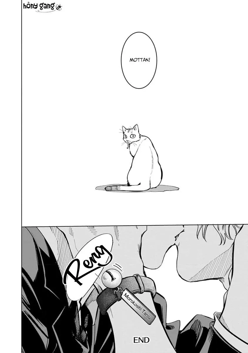 Tạm Biệt, Cây Vĩ Cầm Vô Danh Chapter 6 Trang 34