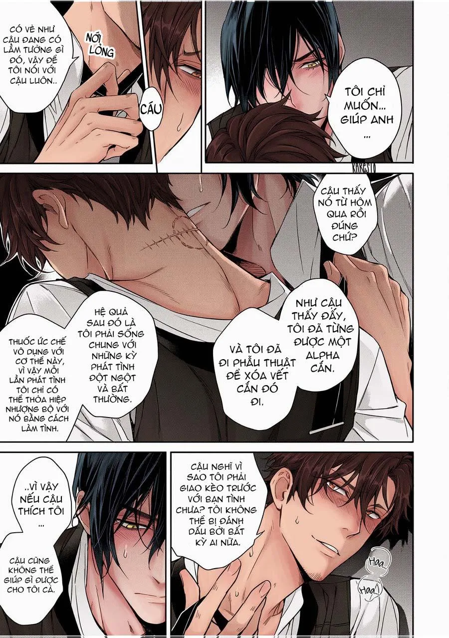 Tạm Biệt Định Mệnh Chapter 2 Trang 17