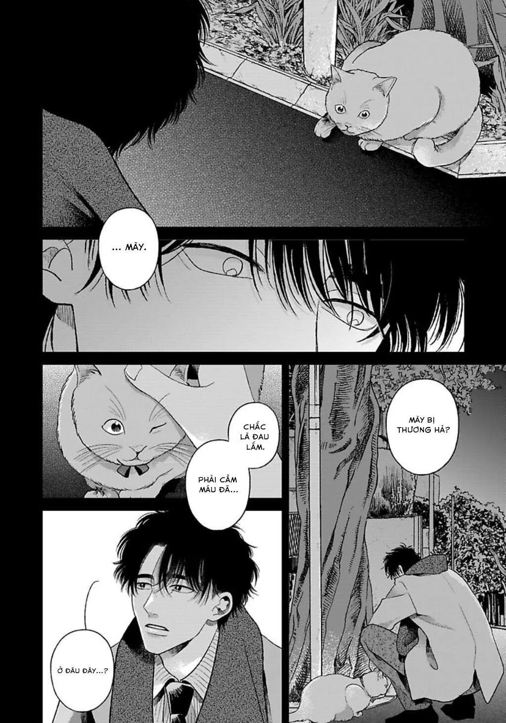 Tạm Biệt Đồng Phạm Của Tôi Chapter 10 Trang 34