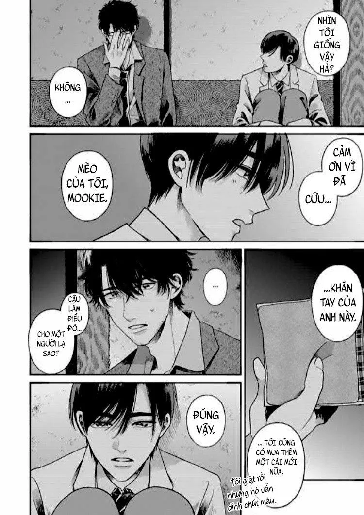 Tạm Biệt Đồng Phạm Của Tôi Chapter 1 Trang 36