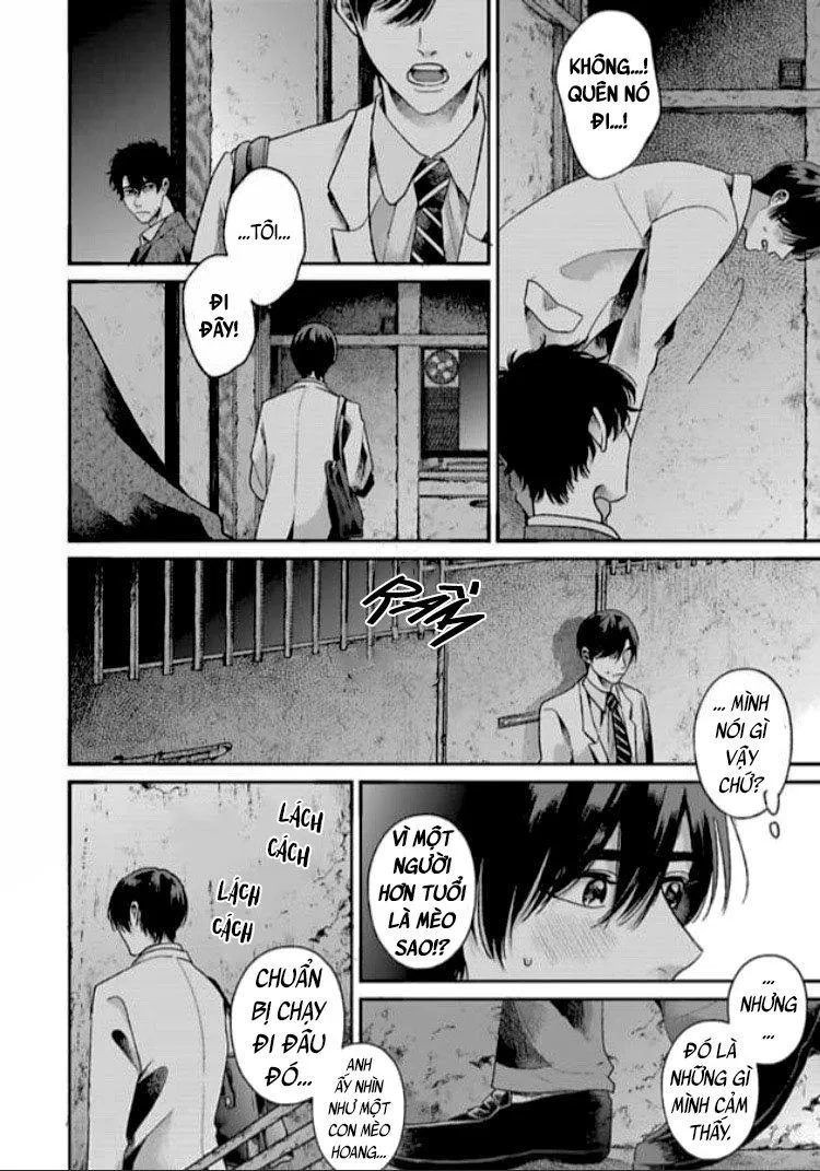 Tạm Biệt Đồng Phạm Của Tôi Chapter 1 Trang 38