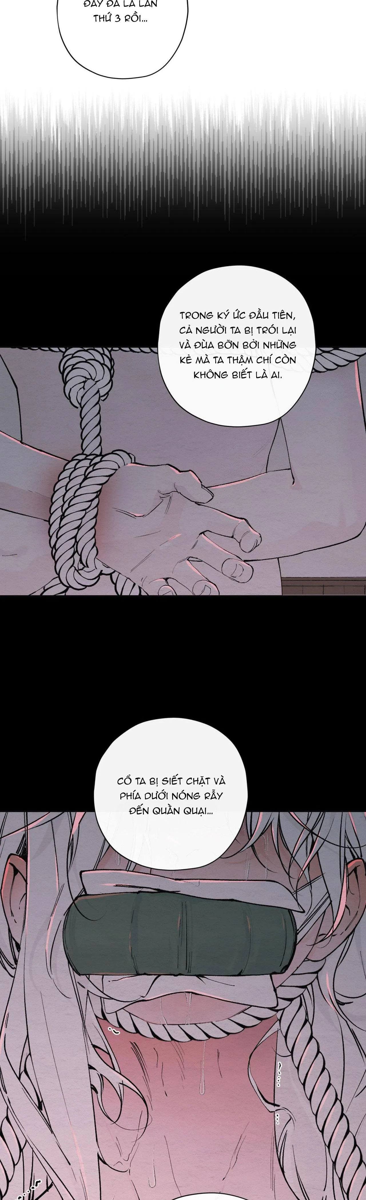 TÂM HỒN MÉO MÓ Chapter 26 Trang 13