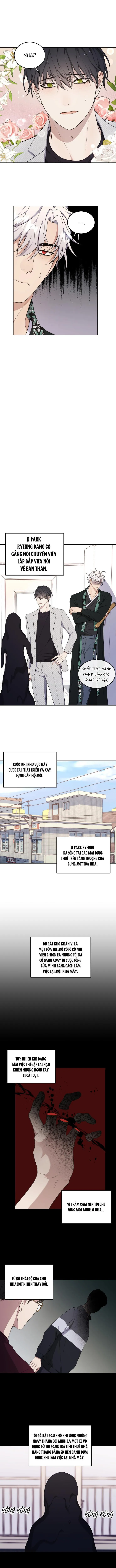 |DROP| Tâm Mộng Chapter 18 Trang 5