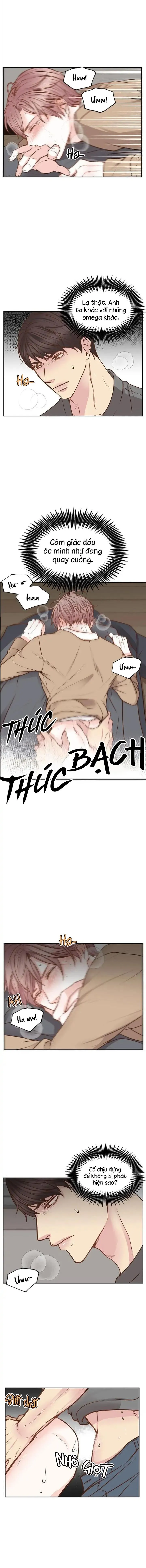 Tan Chảy Trong Em Chapter 8 Trang 3