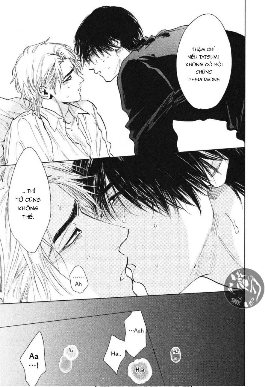 Tatsumi To Inui Chapter 1 Trang 28