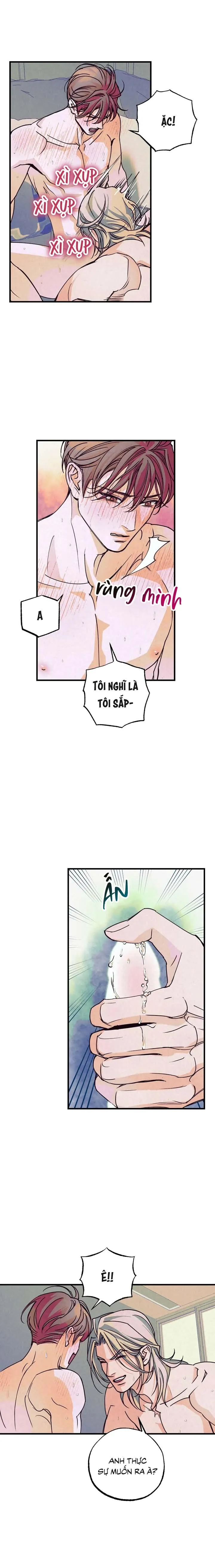 Tay Săn Huy Chương Vàng Bất Khả Chiến Bại Chapter 3 Trang 8