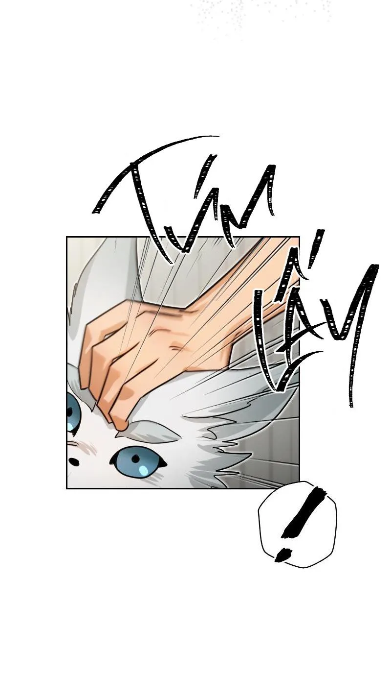 TẾ PHẨM THẦN NÚI Chapter 4 Trang 30