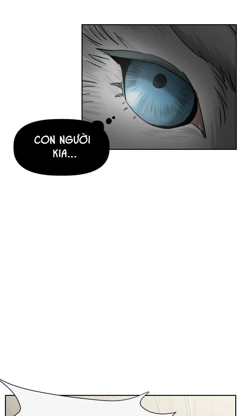 TẾ PHẨM THẦN NÚI Chapter 4 Trang 39