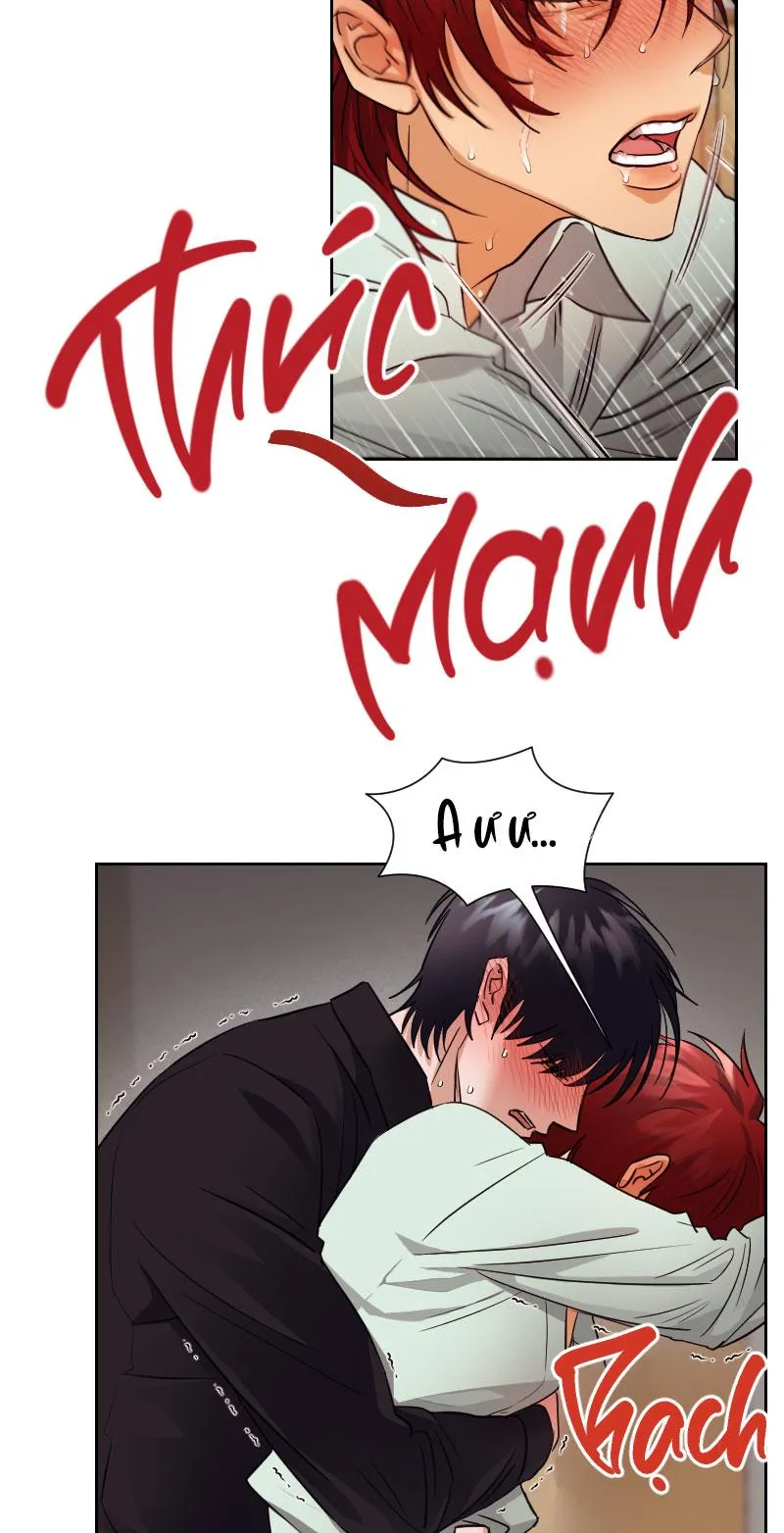 TẾ PHẨM THẦN NÚI Chapter 7 Trang 5