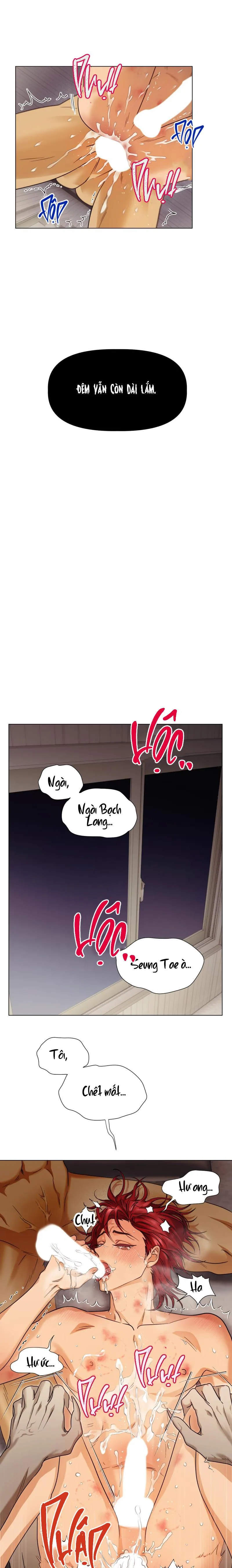 TẾ PHẨM THẦN NÚI Chapter 11 Trang 12