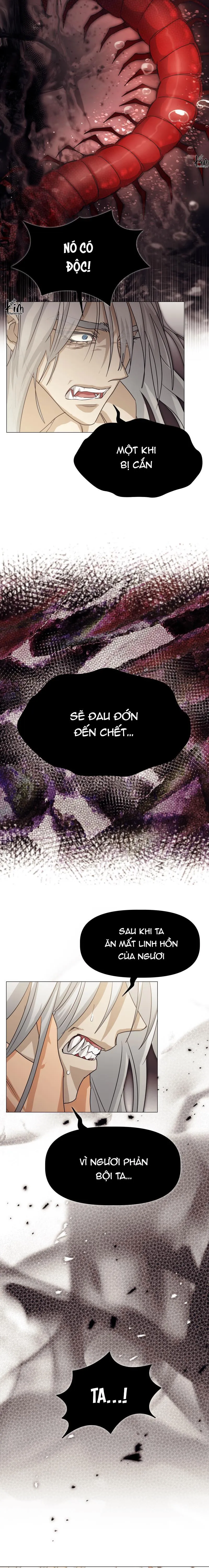 TẾ PHẨM THẦN NÚI Chapter 19 Trang 17