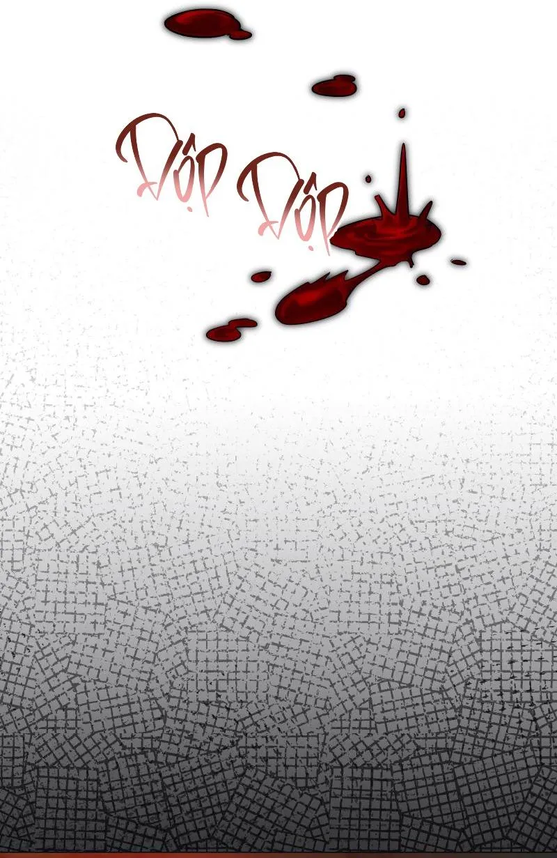 TẾ PHẨM THẦN NÚI Chapter 22 Trang 41