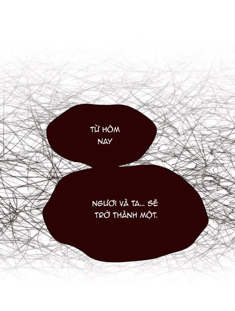 TẾ PHẨM THẦN NÚI Chapter 22 Trang 45