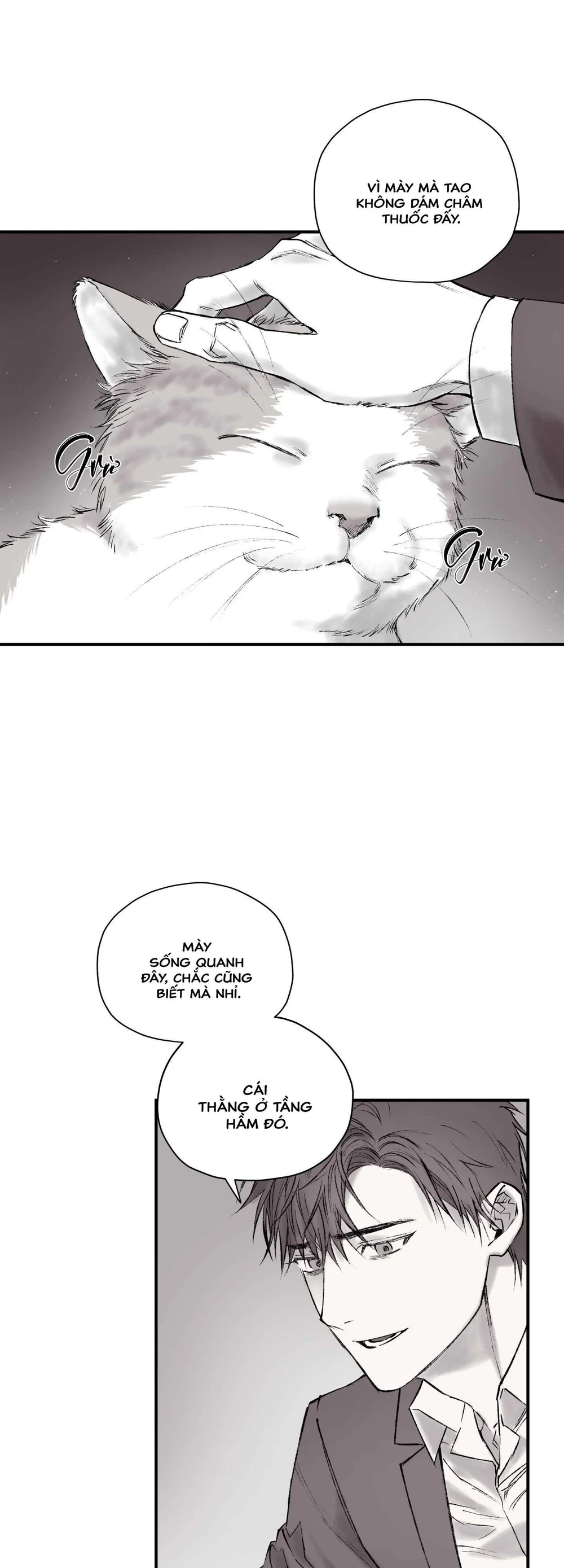 Tên đàn ông bị nhốt ở tầng hầm phòng tôi Chapter 1 Trang 36