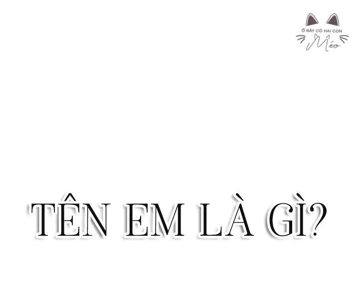 Tên Em Là Gì Chapter 3 Trang 14