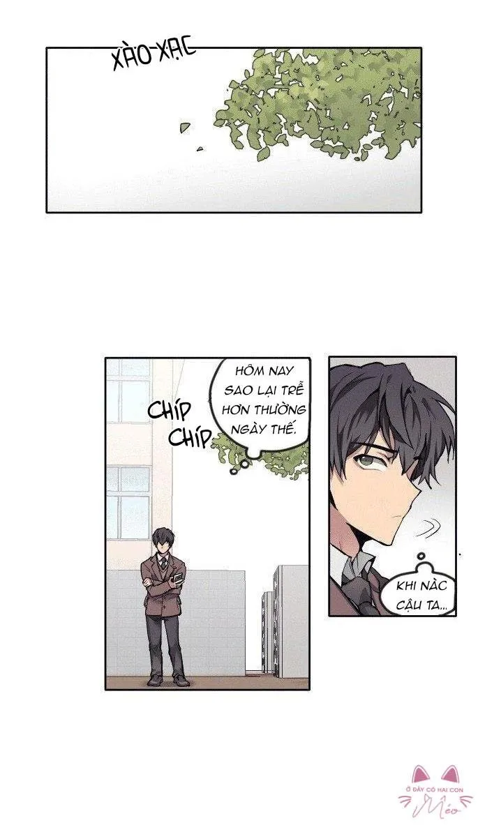 Tên Em Là Gì Chapter 4 Trang 22