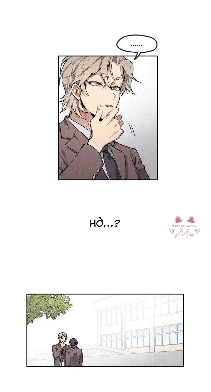 Tên Em Là Gì Chapter 4 Trang 37