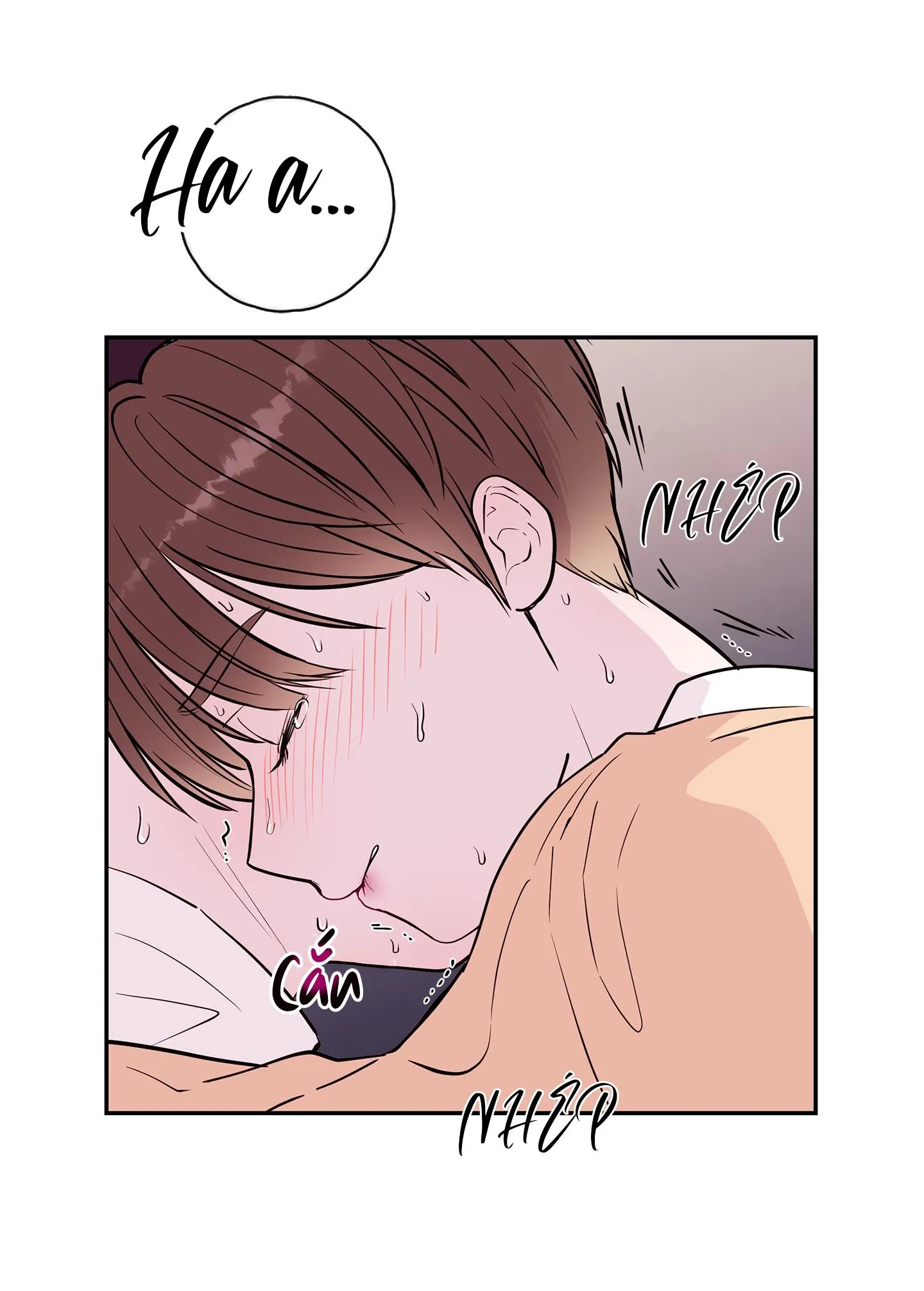 (END) TÊN EM VỢ NGUY HIỂM CỦA TÔI Chapter 31 Trang 34