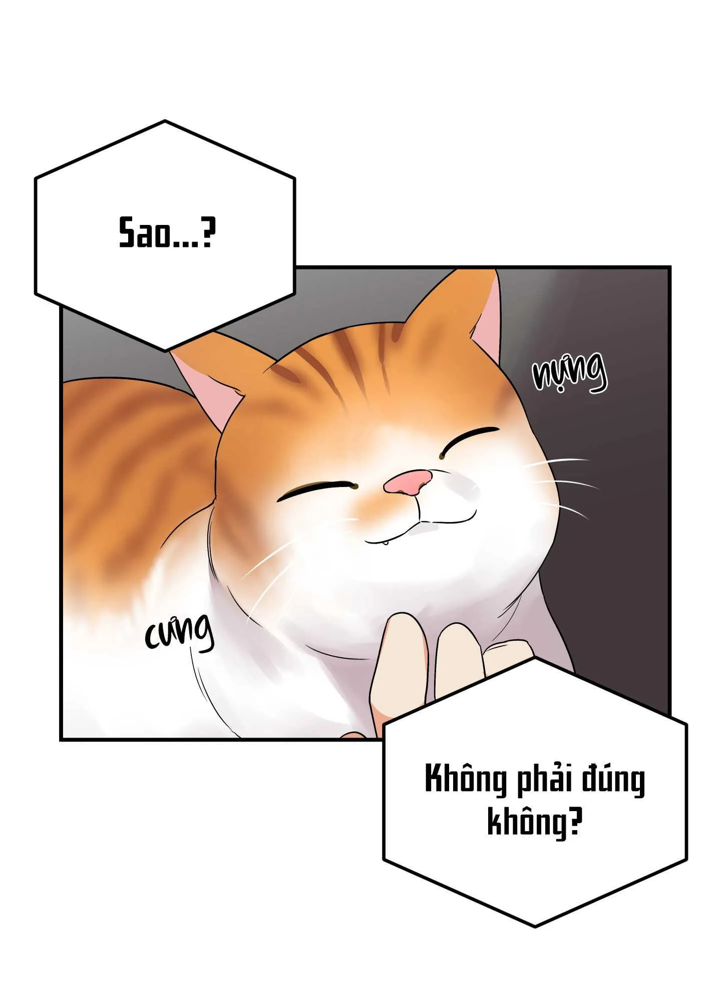 TÊN XẤU XA CỦA TÔI XXX Chapter 29 Trang 17