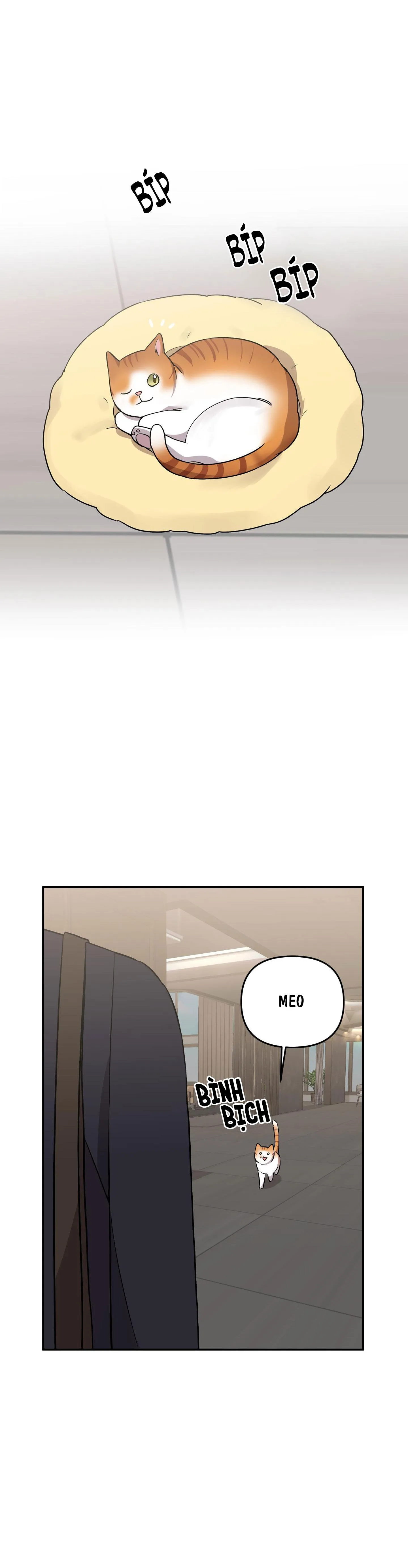 TÊN XẤU XA CỦA TÔI XXX Chapter 38 Trang 49