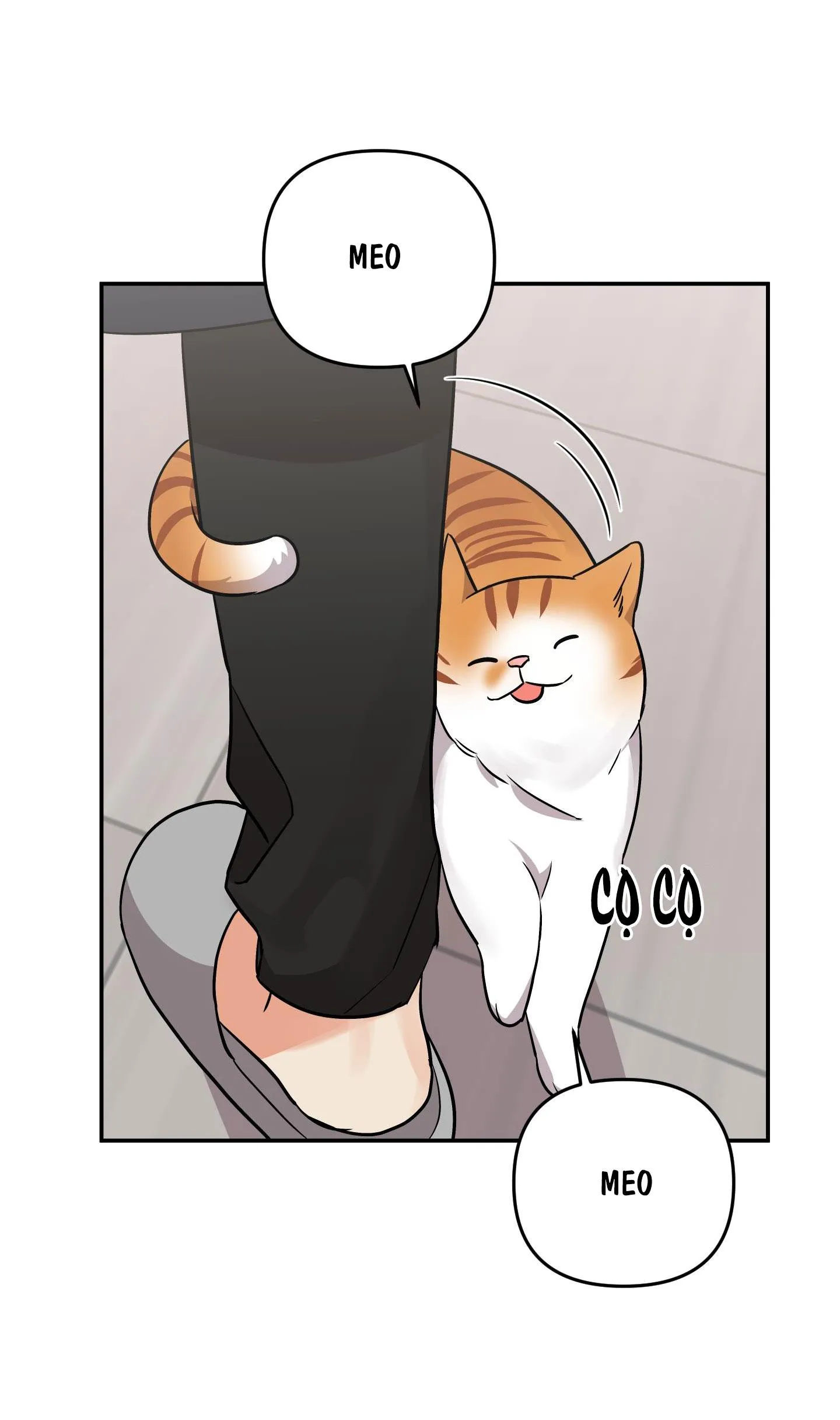 TÊN XẤU XA CỦA TÔI XXX Chapter 38 Trang 50