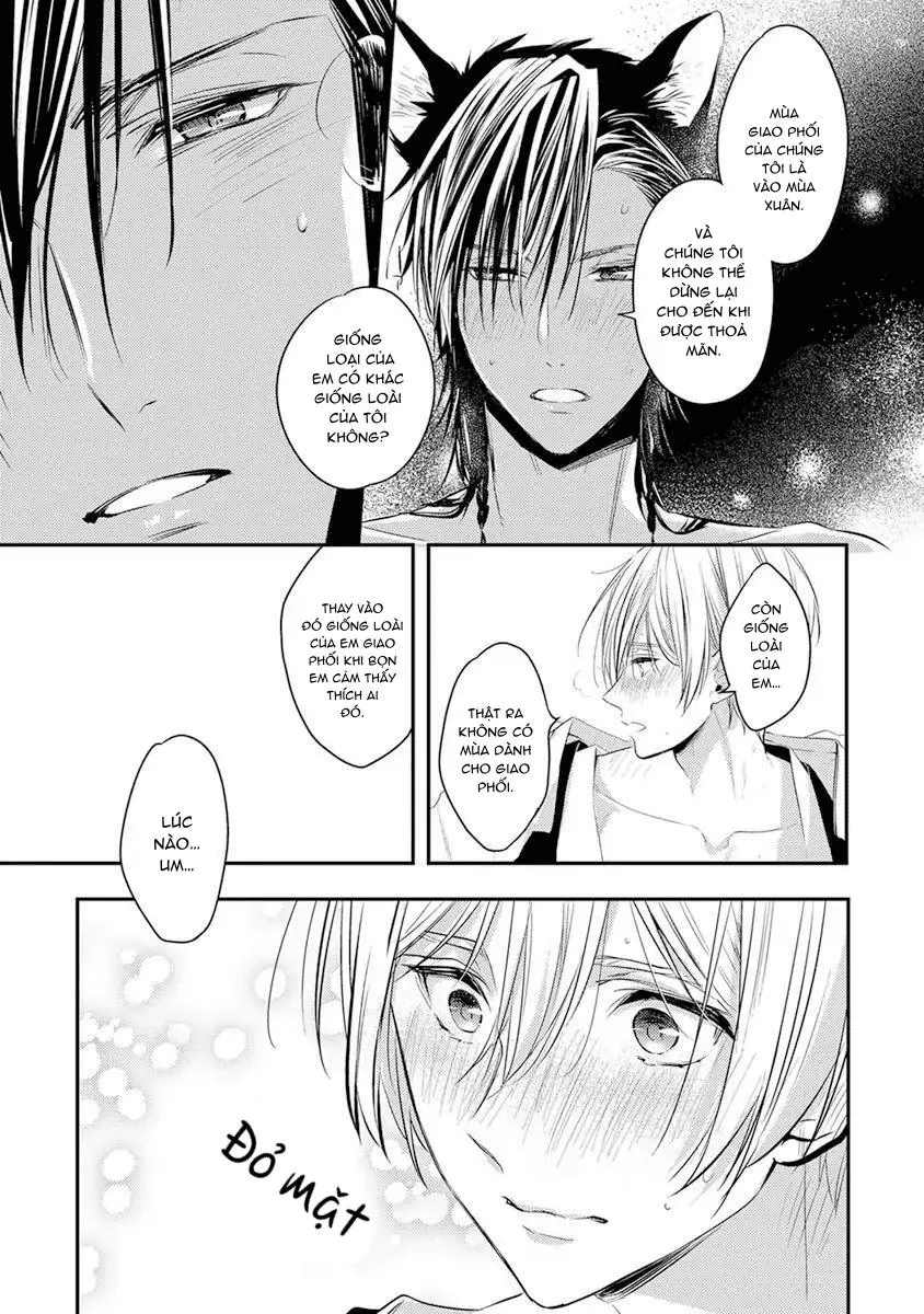 Ngay cả Tengu cũng phải lòng! Chapter 3 Trang 23