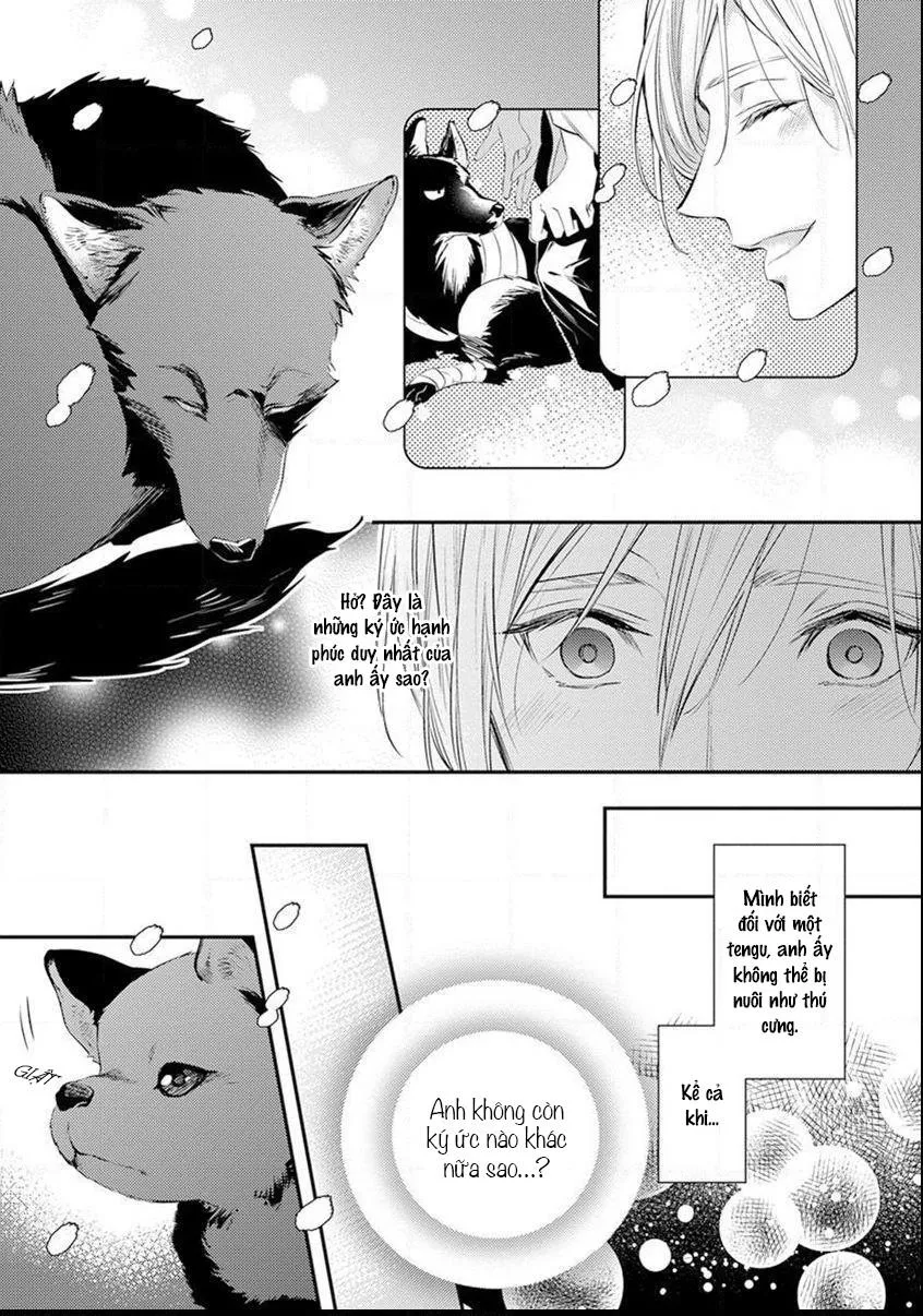Ngay cả Tengu cũng phải lòng! Chapter 1 Trang 13