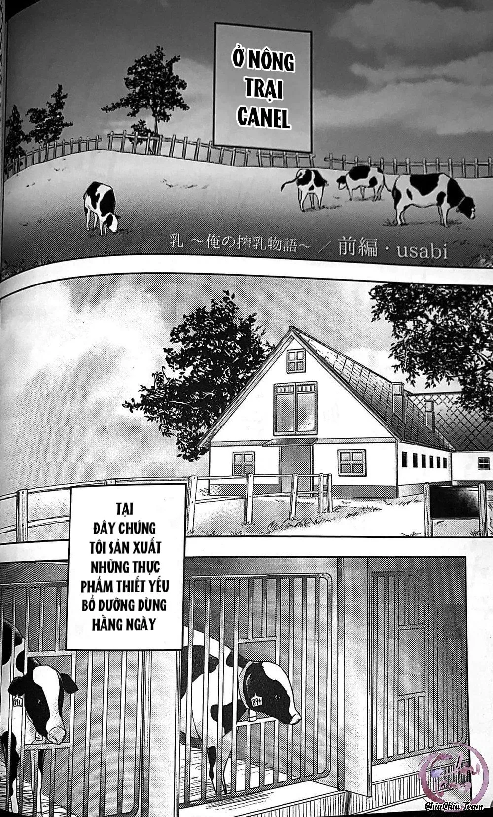 Tuyển tập pỏn nhà Chiu Chapter 41 Trang 3