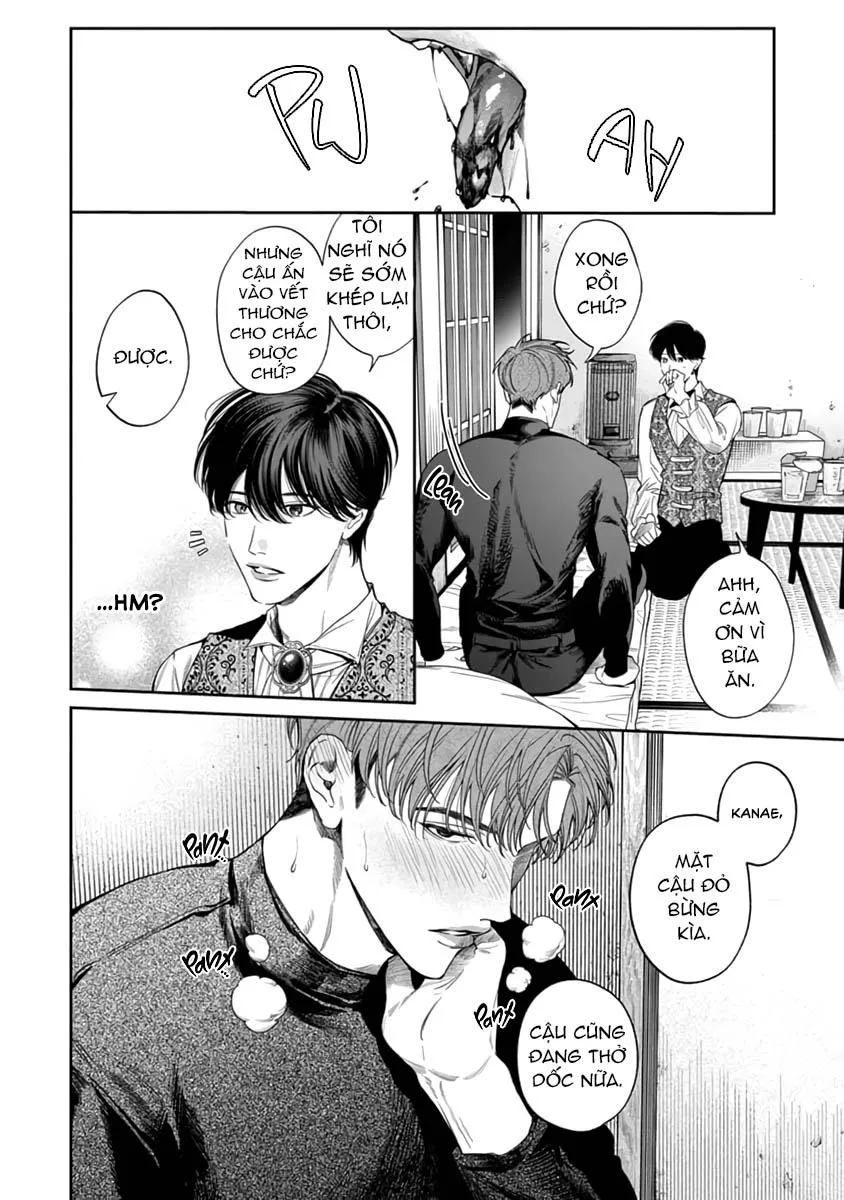 Thạch lựu lấp lánh trong bãi rác Chapter 2 Trang 4