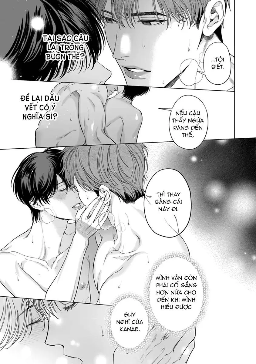 Thạch lựu lấp lánh trong bãi rác Chapter 4 Trang 11