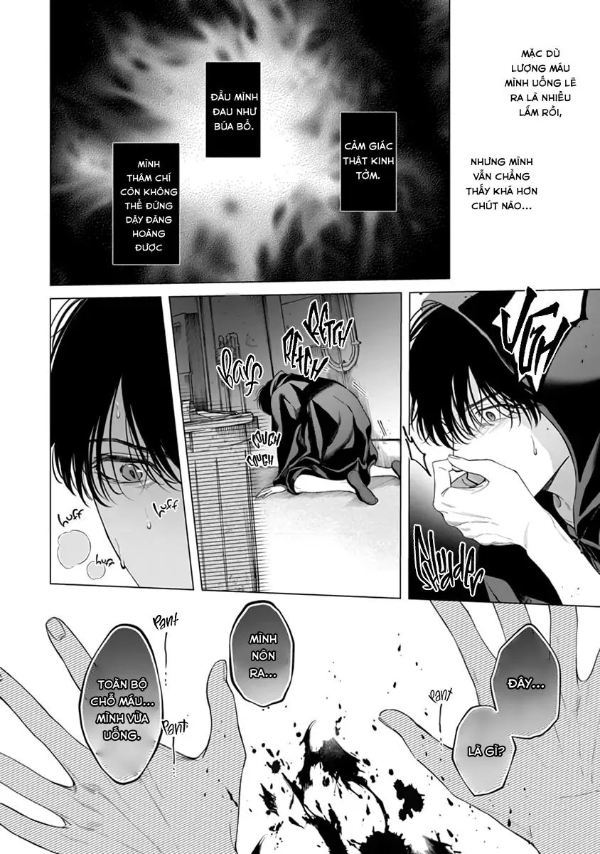 Thạch lựu lấp lánh trong bãi rác Chapter 6 Trang 13