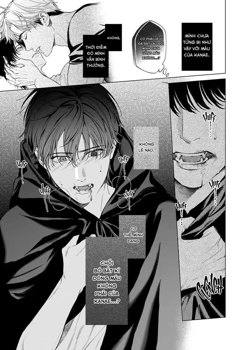 Thạch lựu lấp lánh trong bãi rác Chapter 6 Trang 14