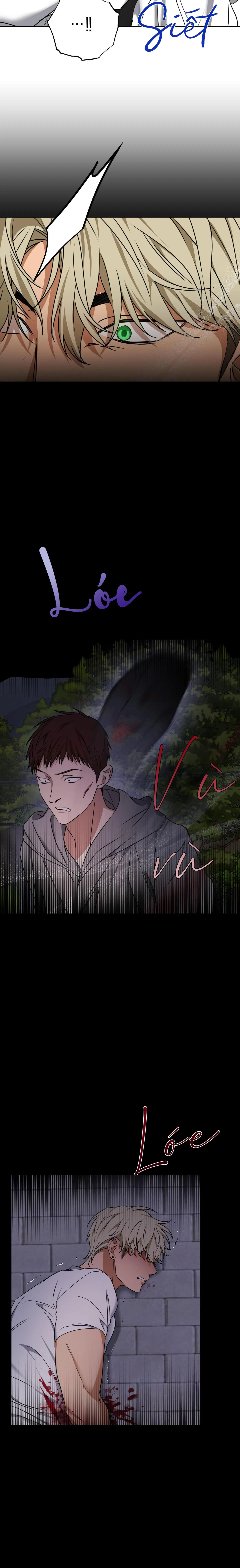 THẦN HỔ Chapter 7 Trang 19