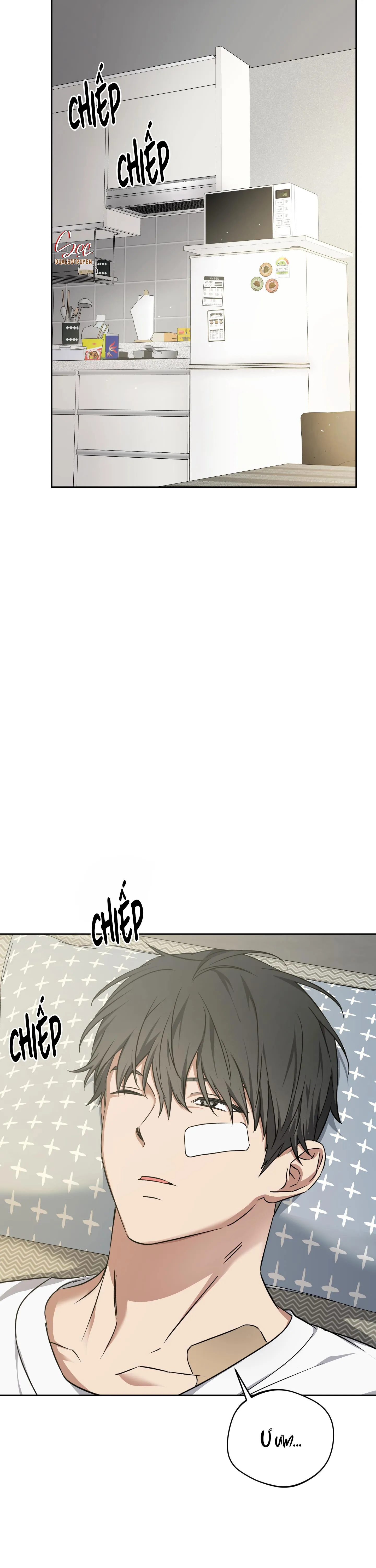 THẦN HỔ Chapter 12 Trang 8