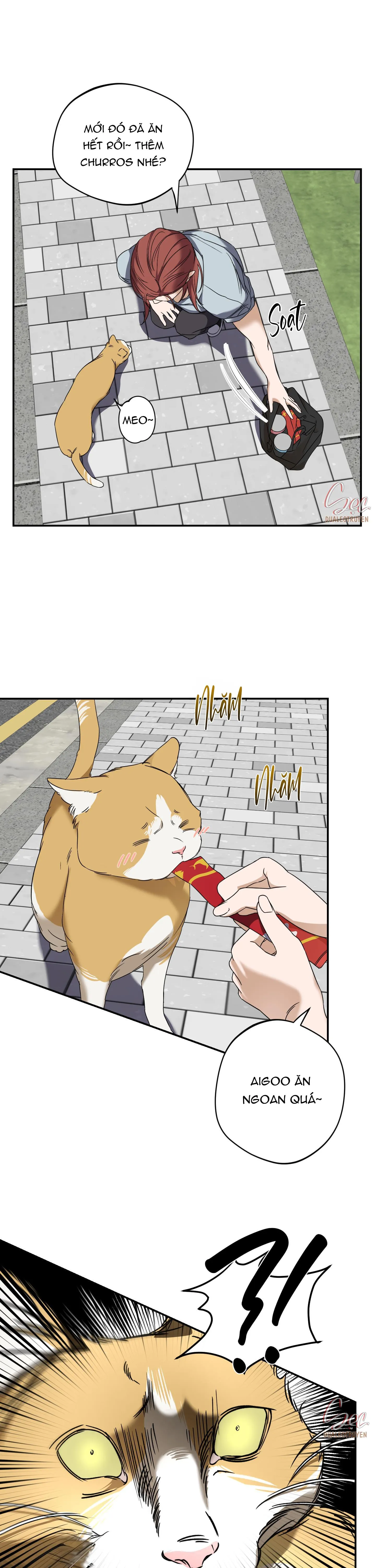 THẦN HỔ Chapter 1 Trang 26