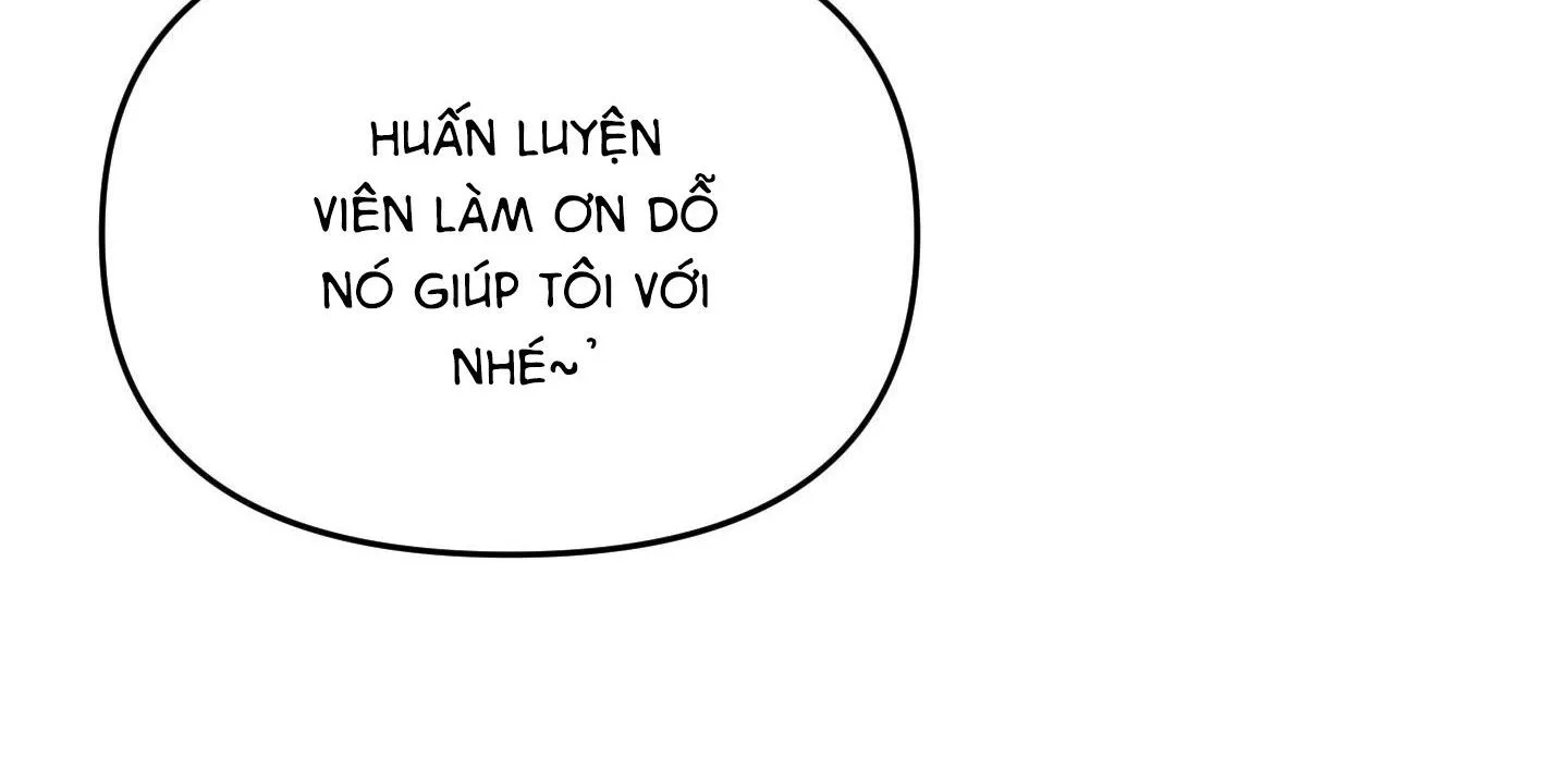 Thán phục thanh xuân Chapter 54 Trang 14