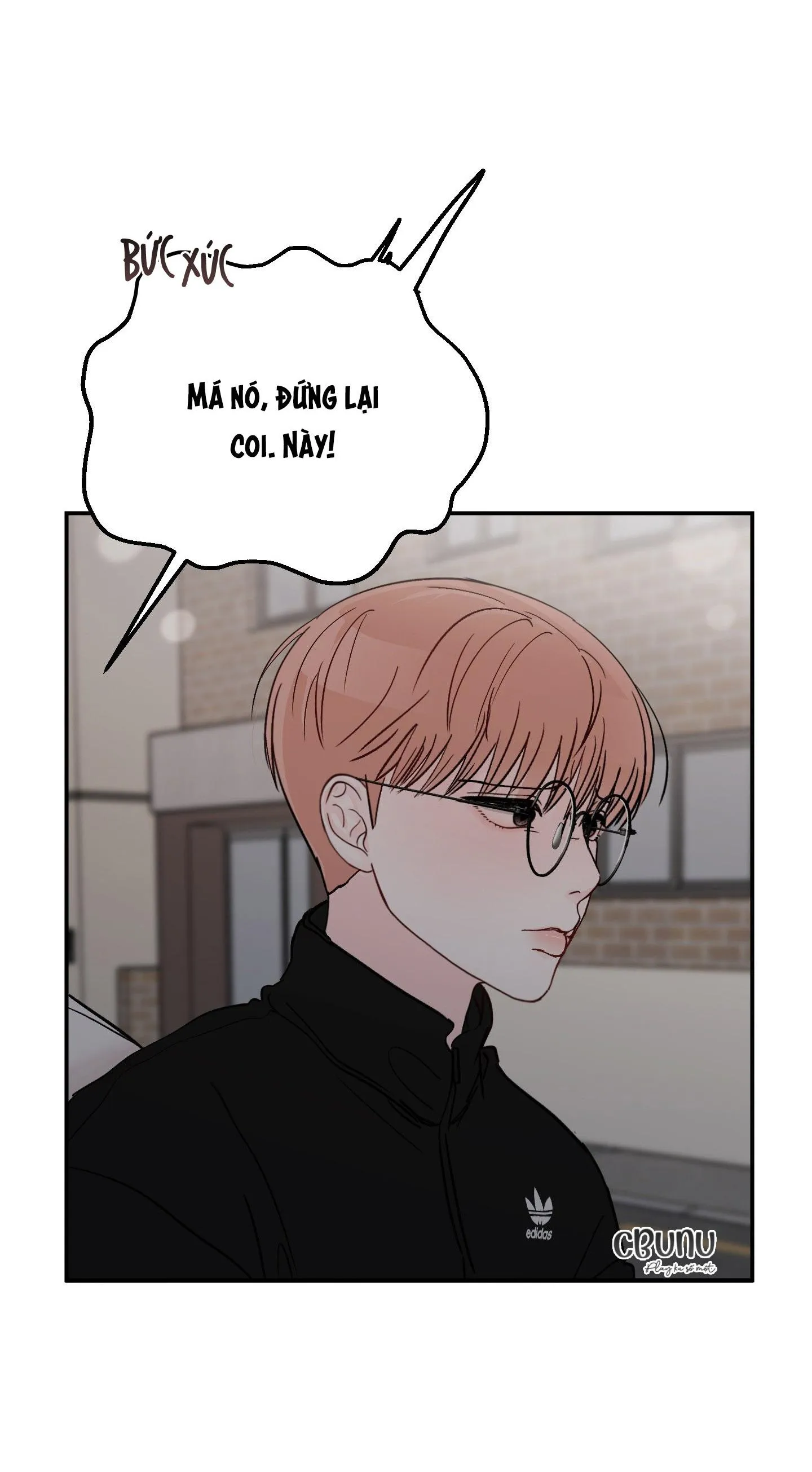 Thán phục thanh xuân Chapter 60 Trang 11