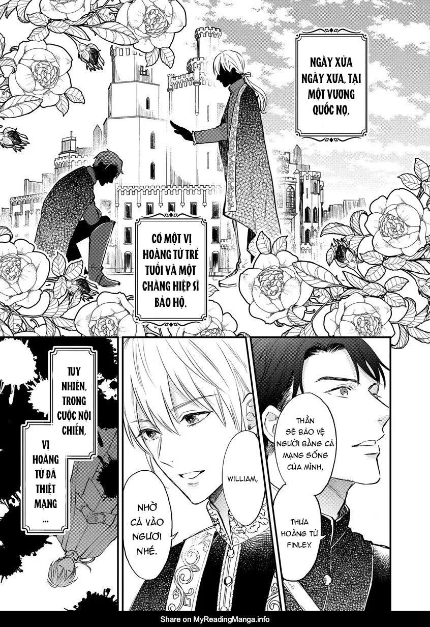 Thần tượng sống và chàng hiệp sĩ Doruota Chapter 1 Trang 4