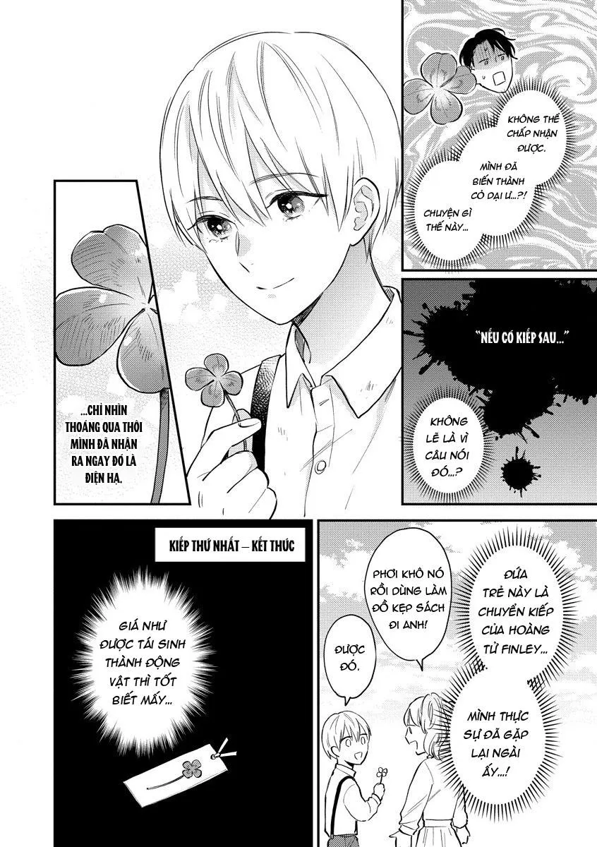 Thần tượng sống và chàng hiệp sĩ Doruota Chapter 1 Trang 9