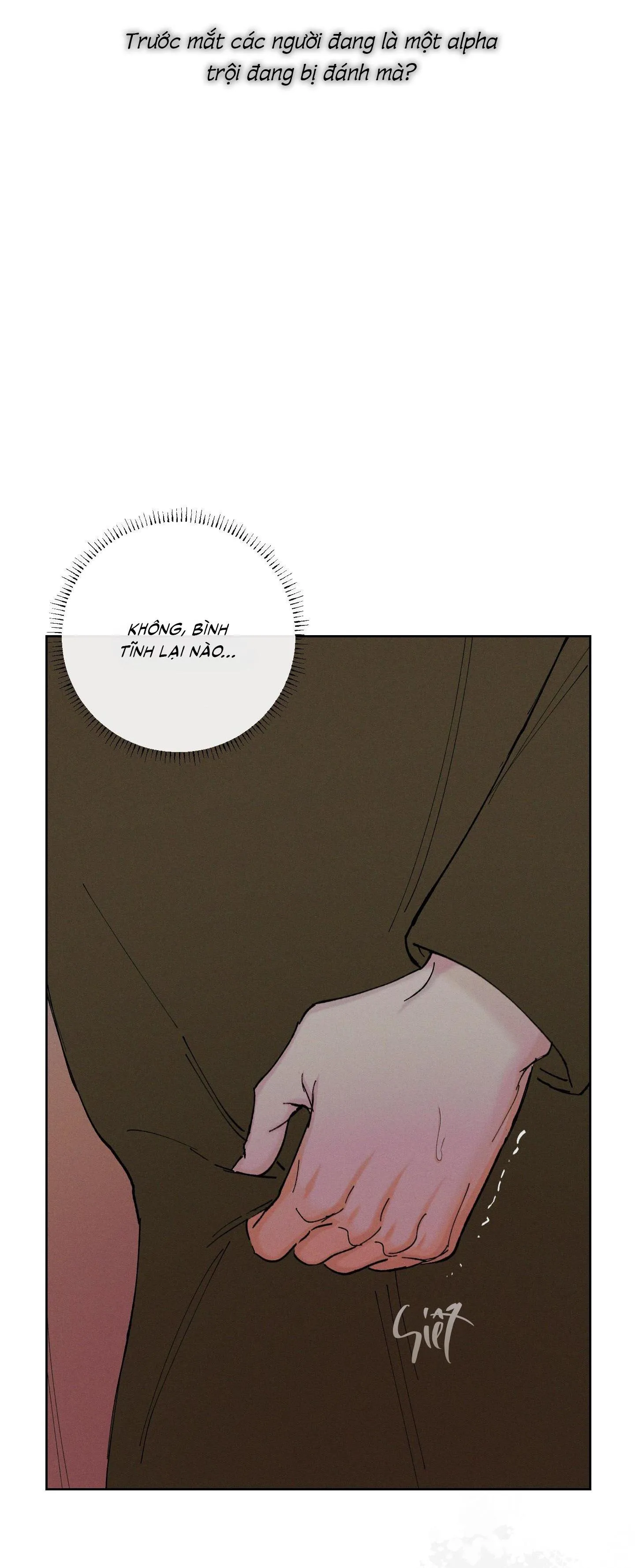 THÁNG 12 Chapter 53 Trang 41