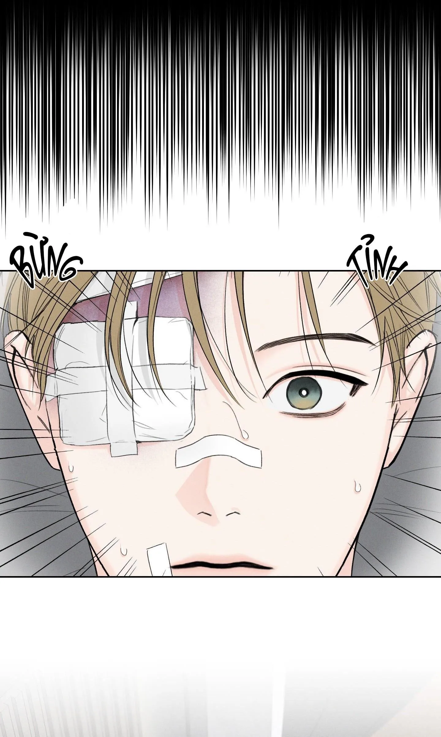 THÁNG 12 Chapter 55 Trang 52