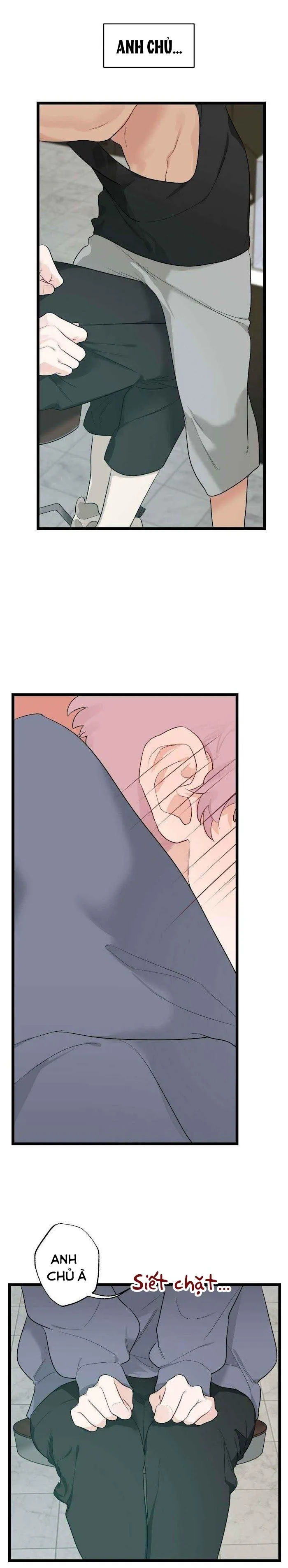 Tháng Nào Cũng Là Ngực Bự Chapter 40 Trang 3