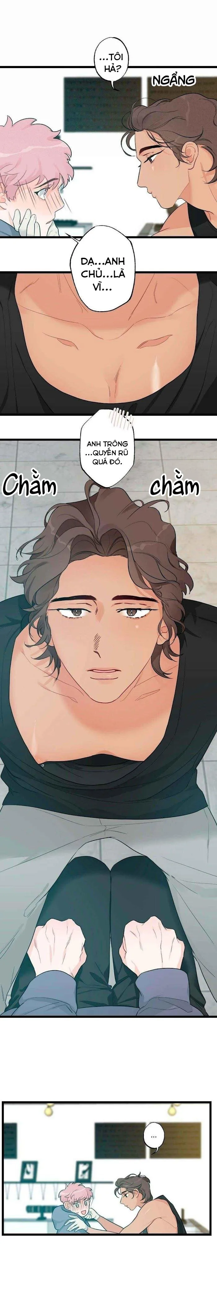 Tháng Nào Cũng Là Ngực Bự Chapter 40 Trang 4