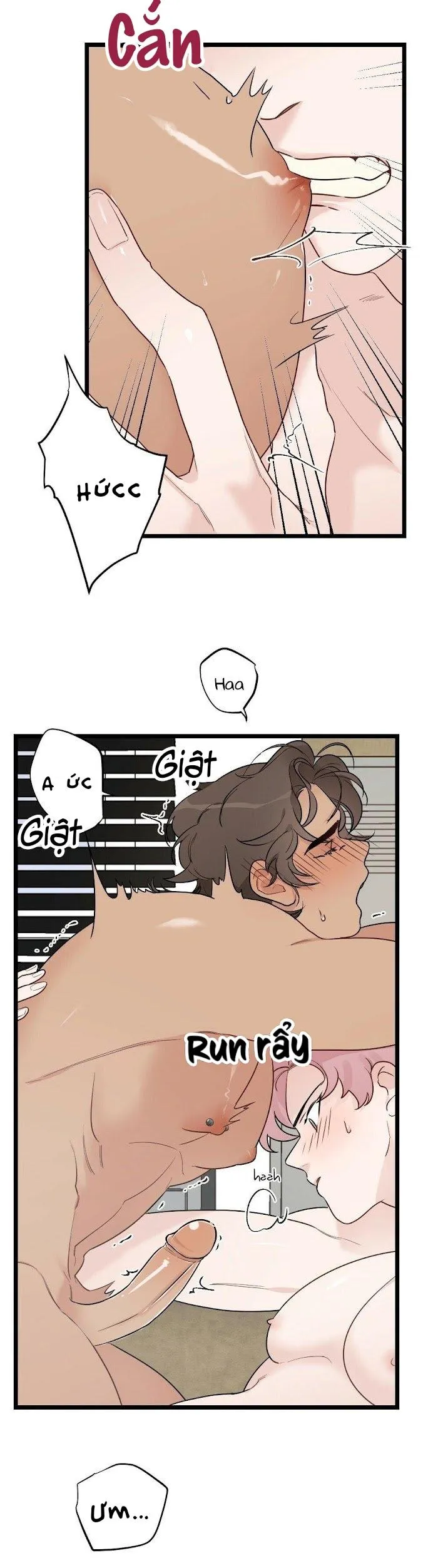 Tháng Nào Cũng Là Ngực Bự Chapter 41 Trang 3