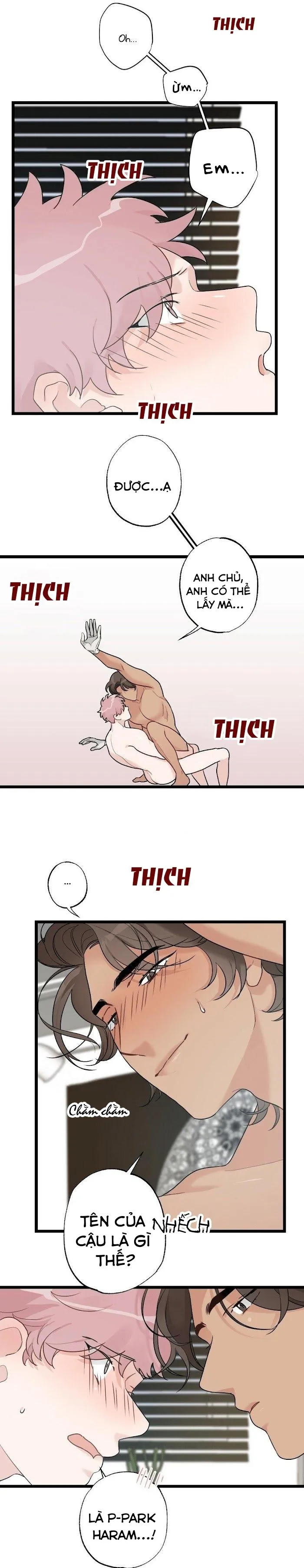 Tháng Nào Cũng Là Ngực Bự Chapter 41 Trang 6