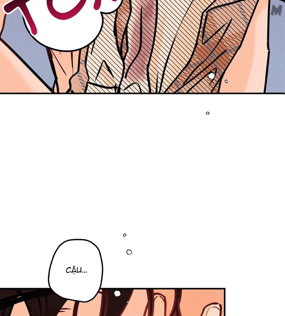 Thang Thanh Âm Chapter 41 Trang 42